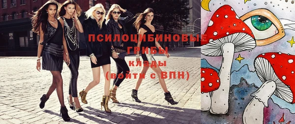 не бодяженный Бородино