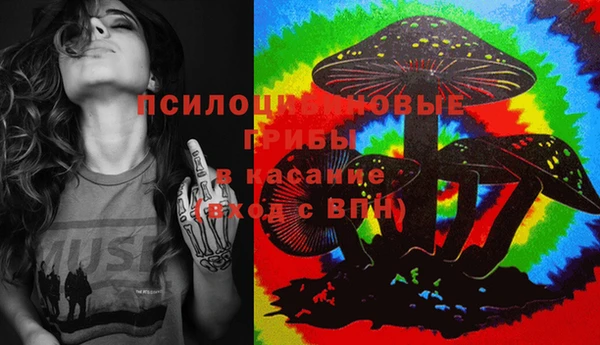 шишки Бугульма