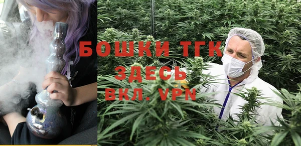 не бодяженный Бородино