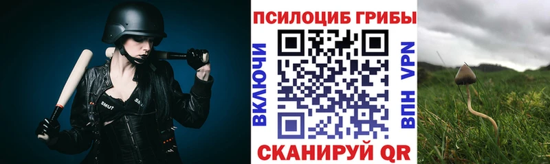 даркнет сайт  Горно-Алтайск  hydra как зайти  Псилоцибиновые грибы мухоморы 
