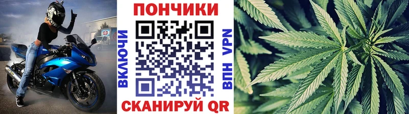 Конопля гибрид  цены наркотик  Горно-Алтайск 